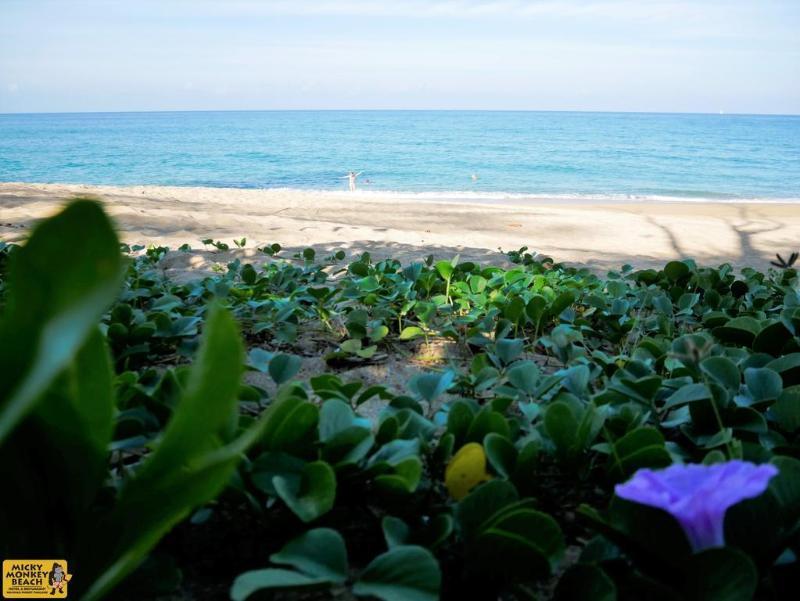 Micky Monkey Beach At Maikhao Beach Hotel Mai Khao Exterior foto